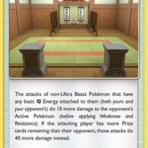 Pokemon Martial Arts Dojo