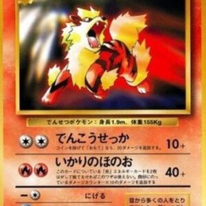 Pokemon Arcanine Japanese