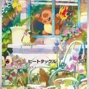 Pokemon Charmander Korean