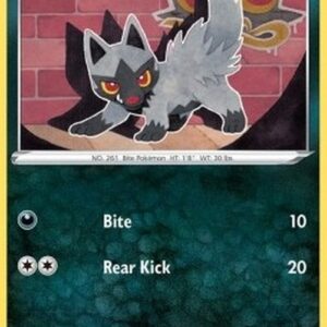 Pokemon Poochyena