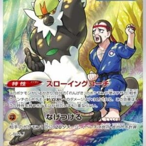 Pokemon Passimian Japanese