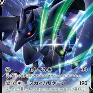 Pokemon Corviknight V T-Chinese