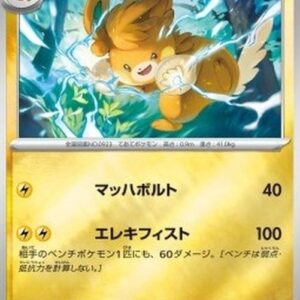 Pokemon Pawmot Japanese