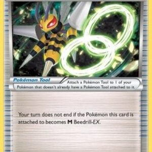 Pokemon Beedrill Spirit Link