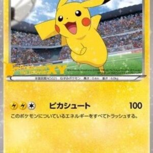 Pokemon Pitch's Pikachu Japanese