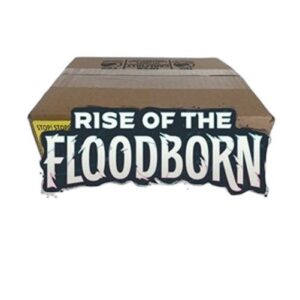 Lorcana 2ROF Rise of the Floodborn 4 Booster Box Case