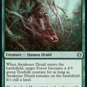 Magic: The Gathering Awakener Druid