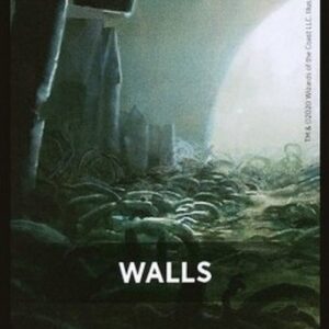 Magic: The Gathering Jumpstart Pack Summary Card: Walls