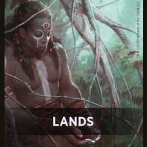 Magic: The Gathering Jumpstart Pack Summary Card: Lands
