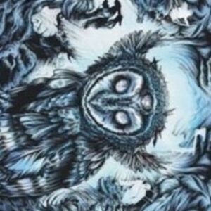 Magic: The Gathering Art Series: Vega, the Watcher (V.1)