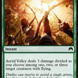 Magic: The Gathering Aerial Volley