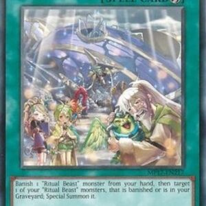 Yu-Gi-Oh! RATE-JP Ritual Beast Return