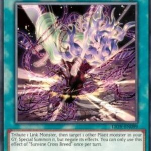 Yu-Gi-Oh! LIOV Sunvine Cross Breed