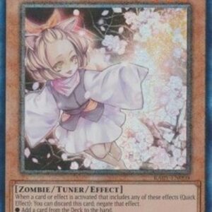 Yu-Gi-Oh! Ash Blossom & Joyous Spring (V.6 - Collectors Rare)