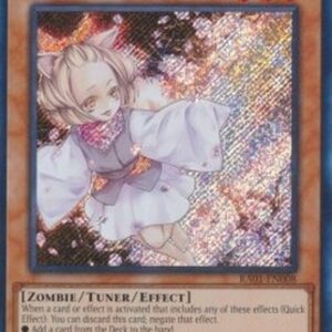 Yu-Gi-Oh! Ash Blossom & Joyous Spring (V.3 - Secret Rare)