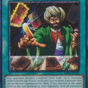 Yu-Gi-Oh! Reasoning (V.4 - Platinum Secret Rare)