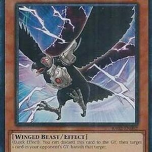 Yu-Gi-Oh! D.D. Crow (V.6 - Collectors Rare)