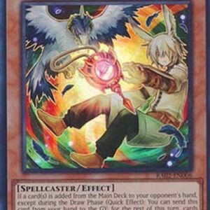 Yu-Gi-Oh! Droll & Lock Bird (V.2 - Super Rare)