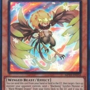 Yu-Gi-Oh! L5DD Blackwing - Chinook the Snow Blast