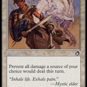 Magic: The Gathering Pay No Heed