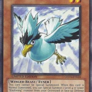 Yu-Gi-Oh! RGBT Blackwing - Blizzard the Far North