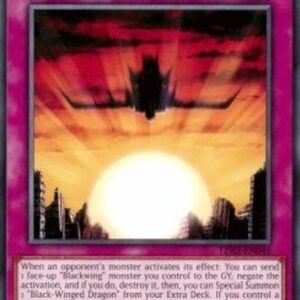 Yu-Gi-Oh! Blackbird Close