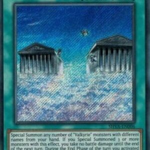 Yu-Gi-Oh! SHVA Ride of the Valkyries