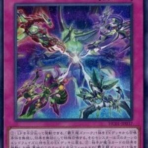 Yu-Gi-Oh! Soul of the Supreme King (V.2 - Secret Rare) Japanese