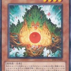 Yu-Gi-Oh! REDU Eco, Mystical Spirit of the Forest Japanese