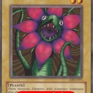 Yu-Gi-Oh! LDD Man Eater (V.2 - Common) French