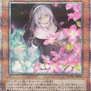 Yu-Gi-Oh! Ghost Sister & Spooky Dogwood (V.5 - Quarter Century Secret Rare) Japanese