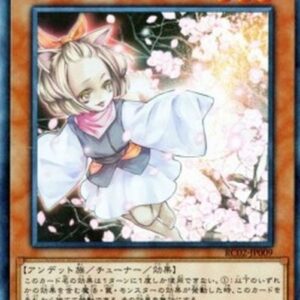 Yu-Gi-Oh! Ash Blossom & Joyous Spring (V.2 - Collectors Rare) Japanese