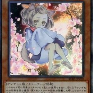 Yu-Gi-Oh! Ash Blossom & Joyous Spring (V.5 - Collectors Rare) Japanese