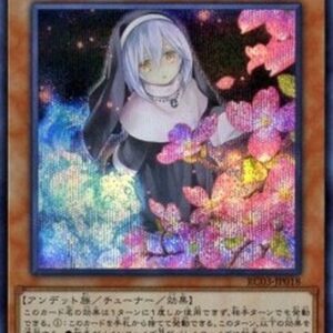 Yu-Gi-Oh! Ghost Sister & Spooky Dogwood (V.4 - Secret Rare) Korean