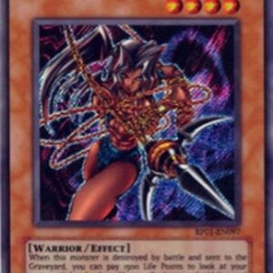 Yu-Gi-Oh! Amazoness Chain Master (V.1 - Secret Rare)