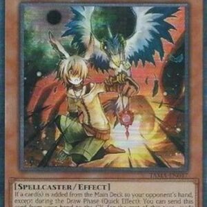 Yu-Gi-Oh! TAMA Droll & Lock Bird (V.2 - Collectors Rare)
