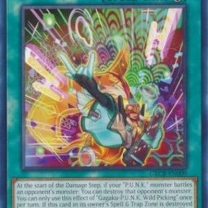 Yu-Gi-Oh! GRCR Gagaku-P.U.N.K. Wild Picking