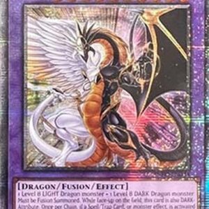 Yu-Gi-Oh! INFO Light and Darkness Dragonlord (V.2 - Quarter Century Secret Rare)