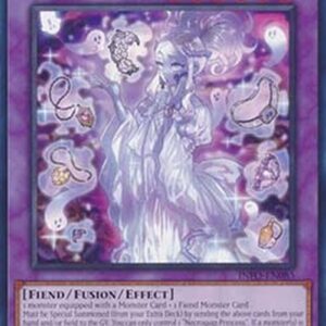 Yu-Gi-Oh! INFO Necroquip Princess