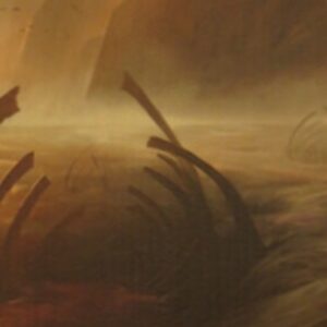 Magic: The Gathering KTK Holiday Gift Box: Swamp Divider