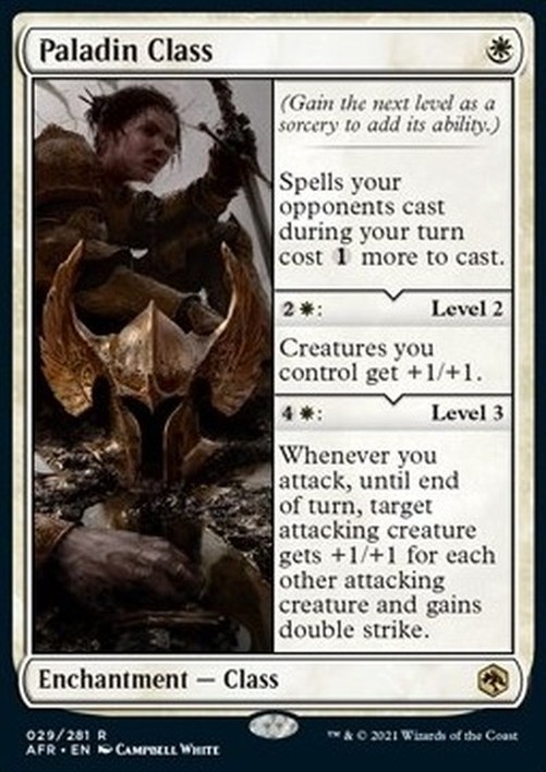 Magic: The Gathering Paladin Class