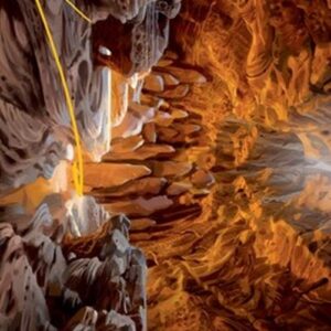 Magic: The Gathering Art Series: Den of the Bugbear (V.4)