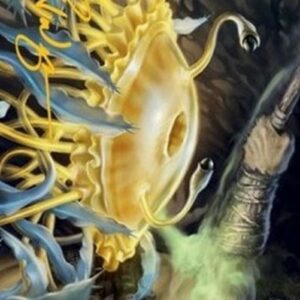 Magic: The Gathering Art Series: Flumph (V.1)