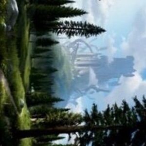 Magic: The Gathering Art Series: Forest (V.3)