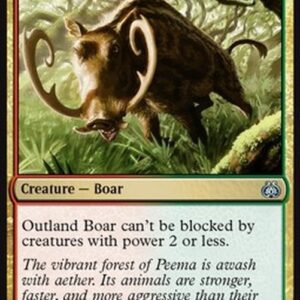 Magic: The Gathering Outland Boar