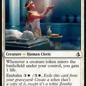 Magic: The Gathering Anointer Priest