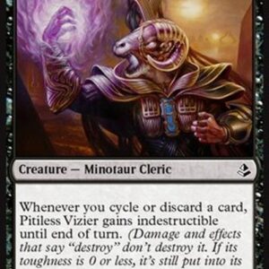 Magic: The Gathering Pitiless Vizier