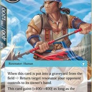 Force of Will ADK Watchman on the Coast