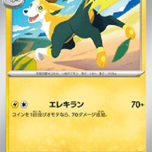 Pokemon Boltund Japanese