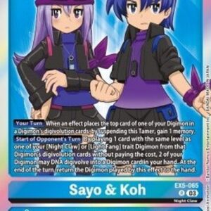 Digimon Sayo & Koh